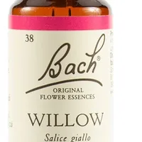 Schwabe Fiori di Bach 37 Willow Gocce 20 ml