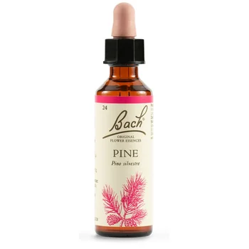 Schwabe Fiori di Bach 24 Pine Gocce 20 ml
