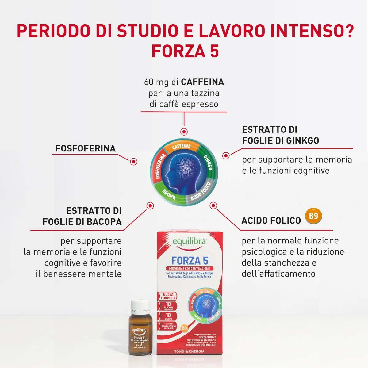 Equilibra Forza5 10 Flaconi Memoria e Concentrazione