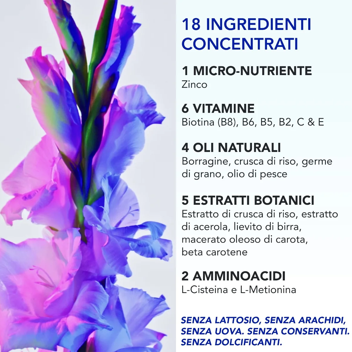 Phyto Phytophanere 180 Capsule Integratore Alimentare per Capelli e Unghie