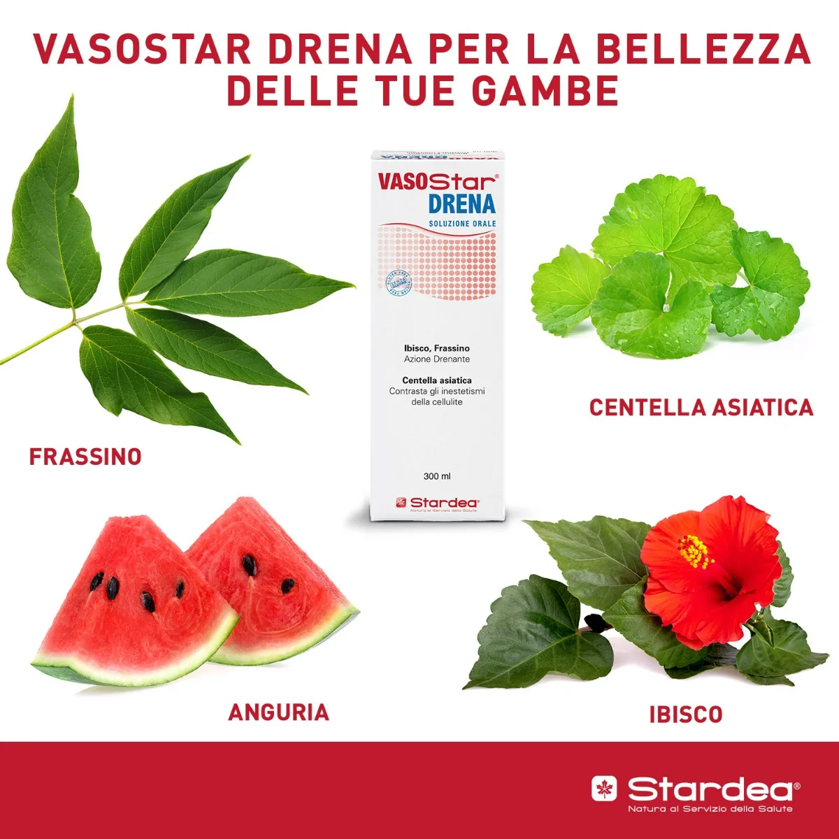 Vasostar Drena 300 ml Drenante