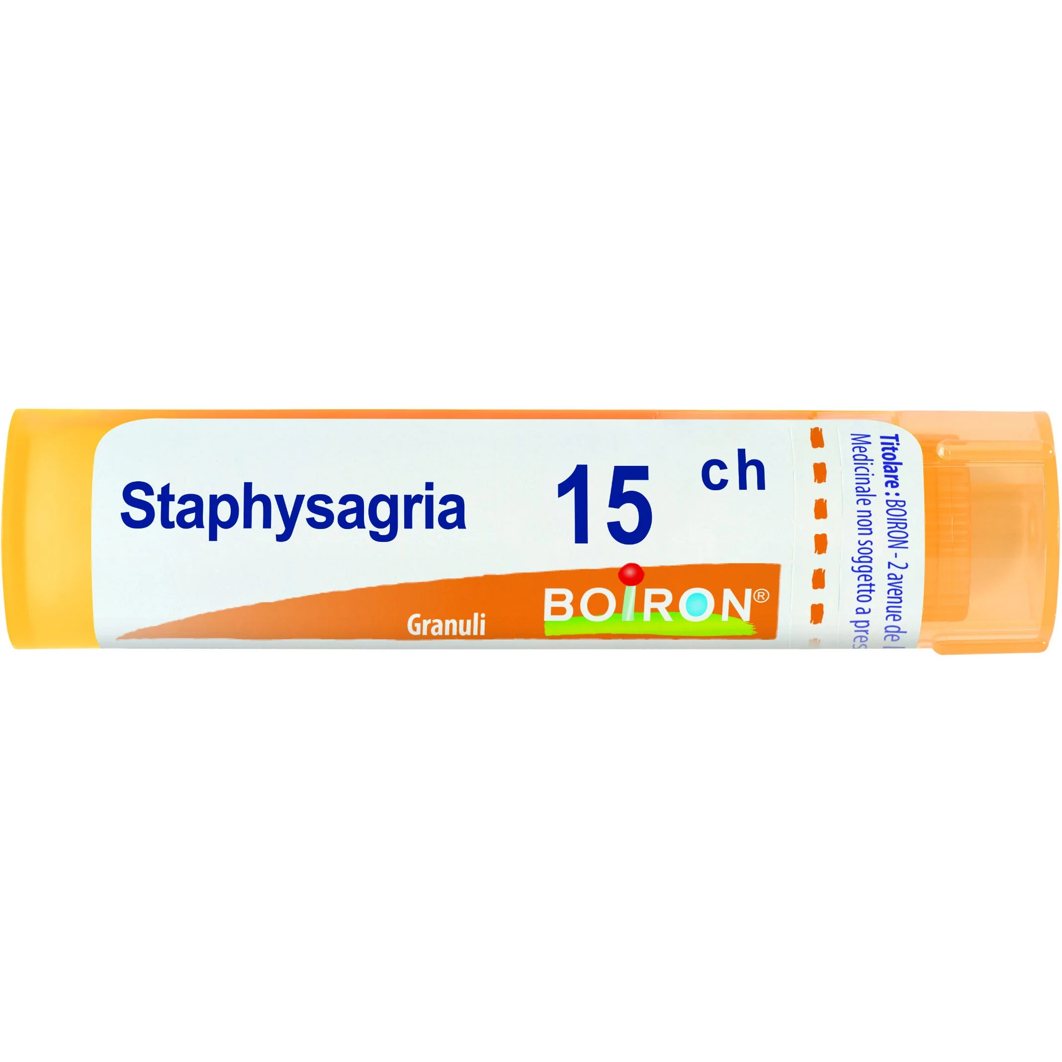 StaphysaGria 15 Ch 80 Gr 4 G