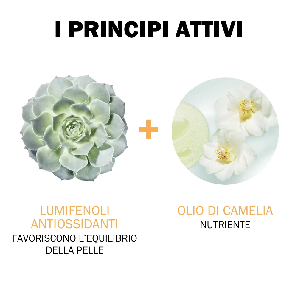 Jowaé Balsamo Nutriente Labbra 4 g Per Labbra Secche o Screpolate