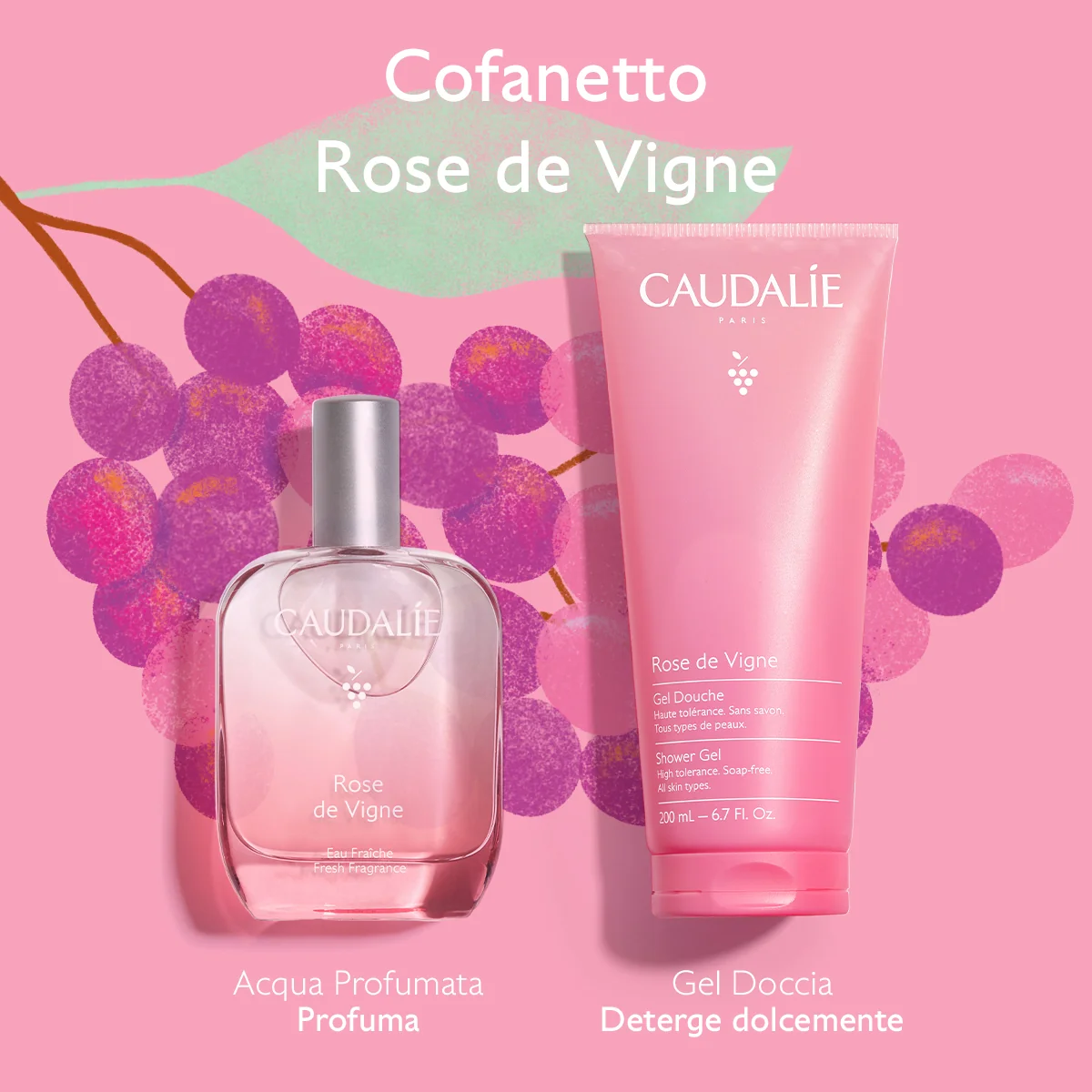 Rose De Vigne Cofanetto Xmas26