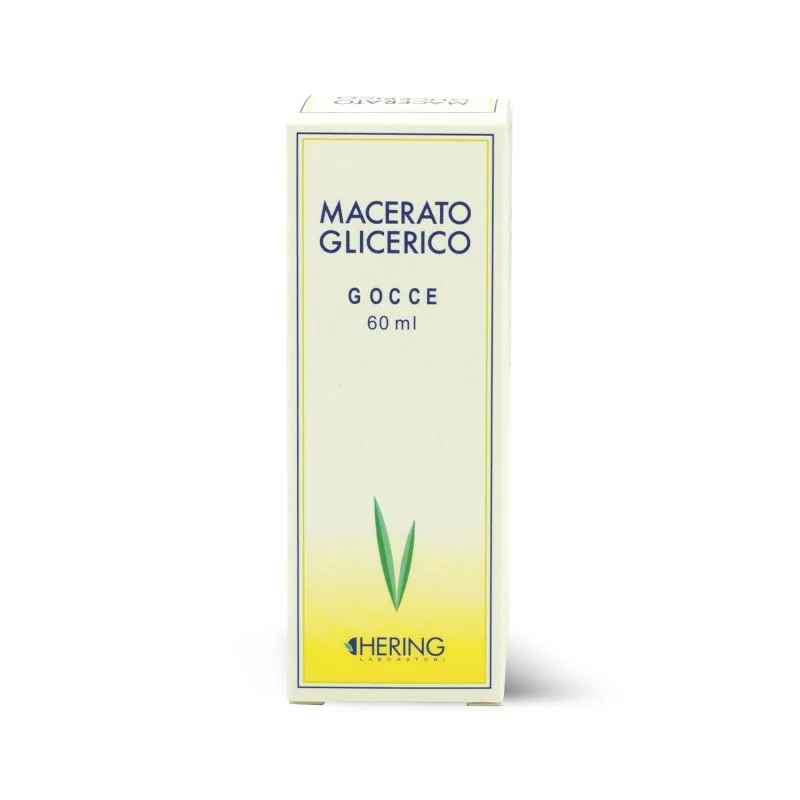 Ficus Car Mg 125ml Gem