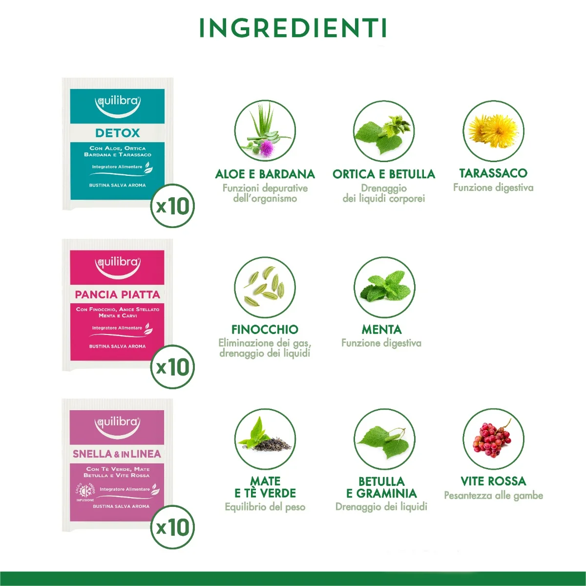 Equilibra Cofanetto Tisane Collection 60 Filtri Tisane con Ingredienti Funzionali