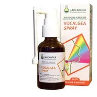 Vocalgea Spray Soluzione Ialuronica 30 ml