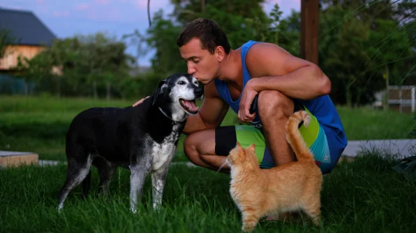 Che significa se il cane o il gatto ci bacia?