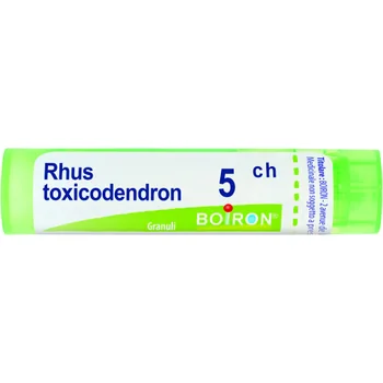 Rhus Toxicod Boi Gran 5Ch 4G