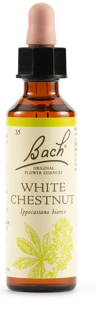 Schwabe Bach Original White Chestnut Fiori di Bach 20 ml