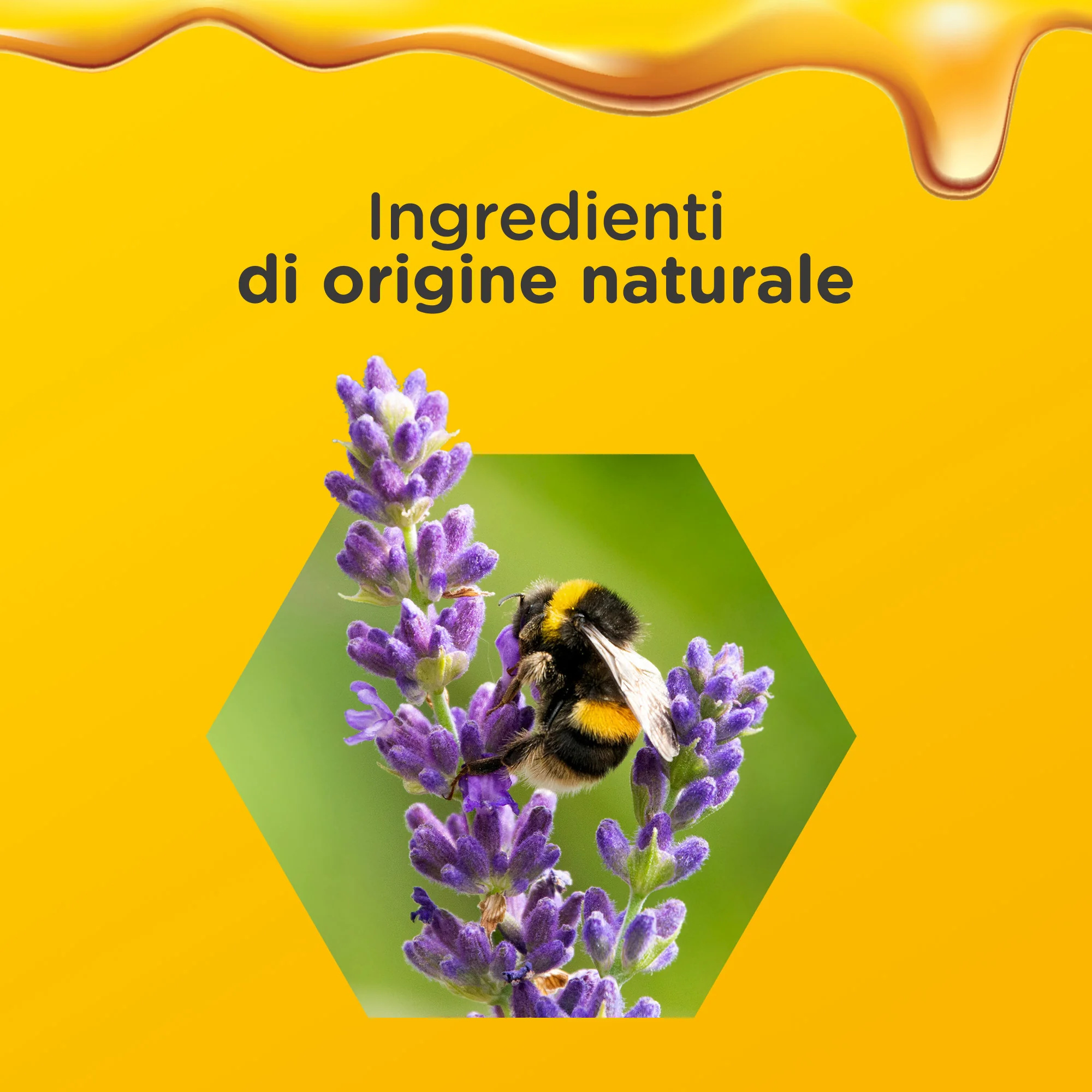 Zarbee's Sciroppo Notte Difese Immunitarie Adulti 120 ml Multivitaminico per Favorire Rilassamento