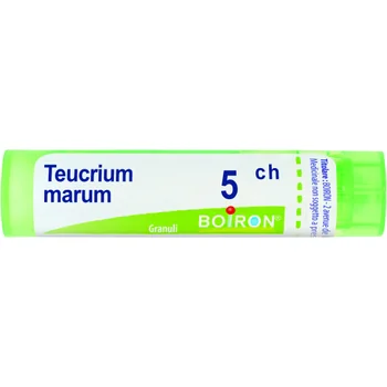 Teucrium Marum 5 Ch 80 Gr 4 G