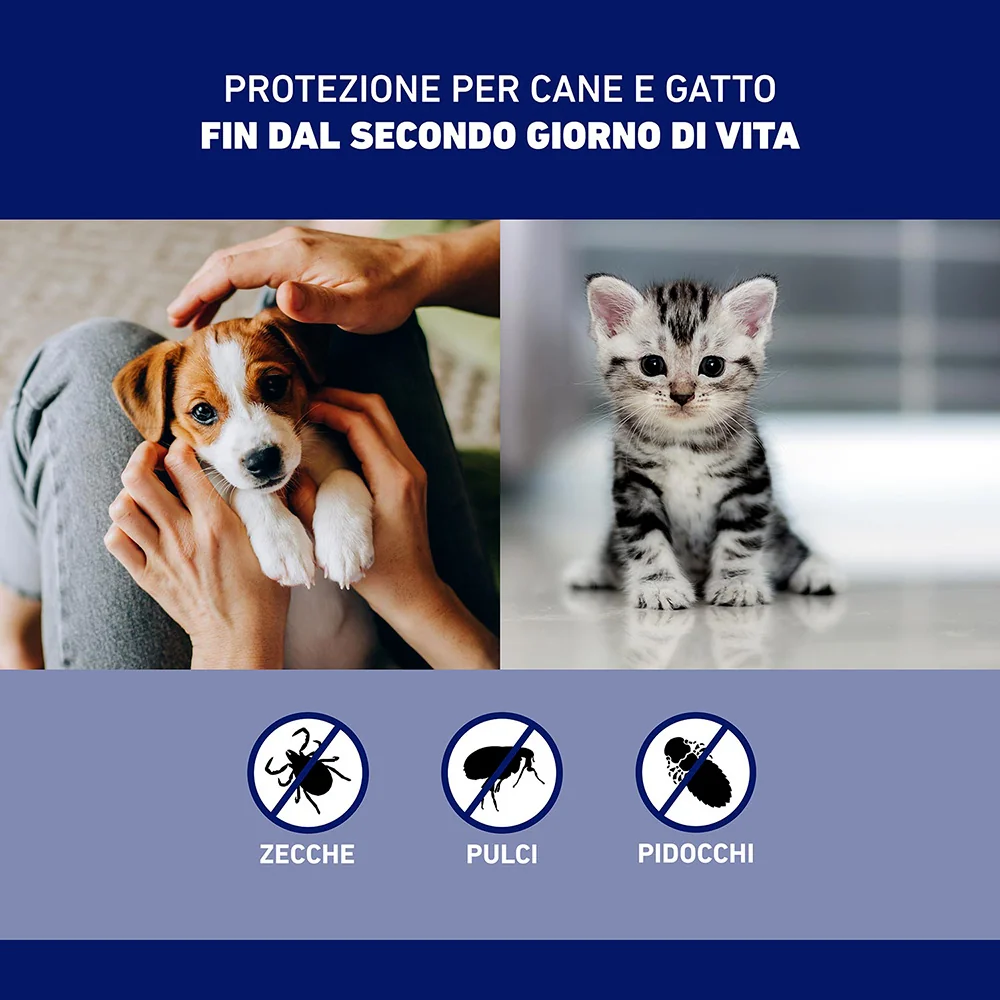Frontline Spray Protegge Cani E Gatti Da Pulci, Zecche E Pidocchi 100Ml