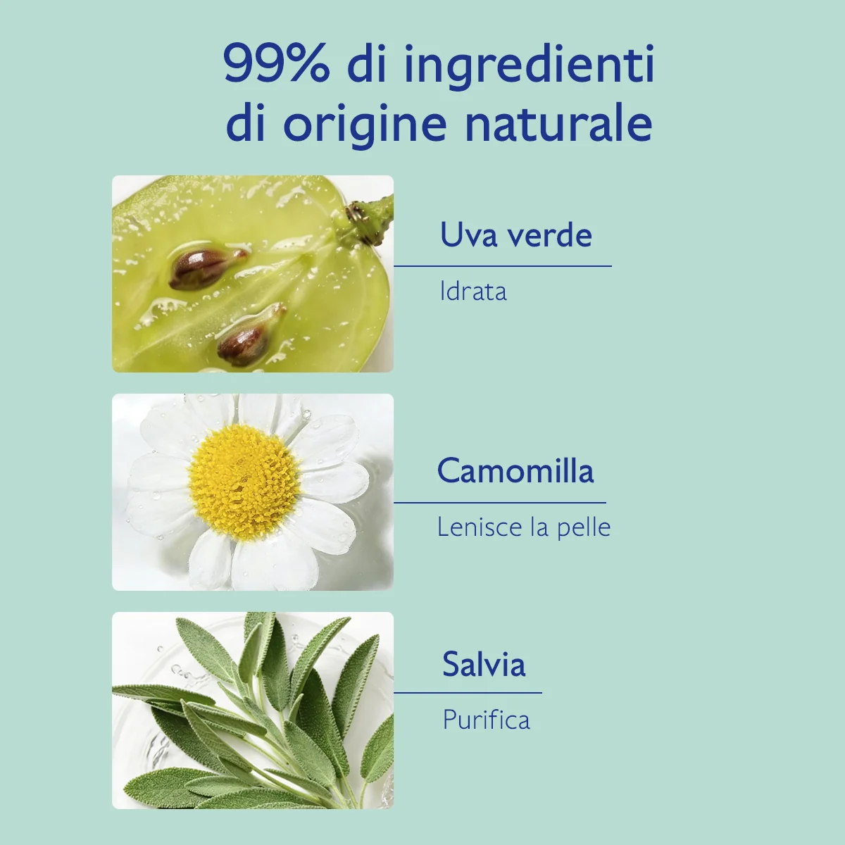 Vinoclean Schiuma Detergente 150 Ml