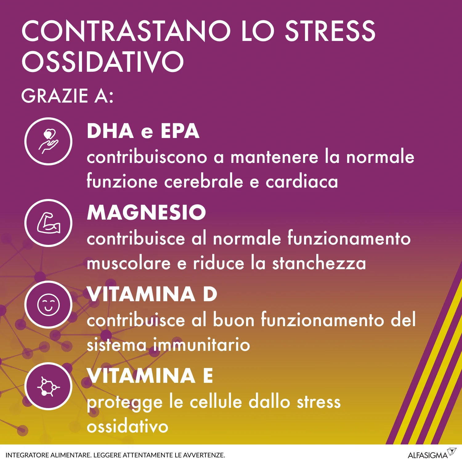 Alfasigma Alanerv Age 20 Capsule Softgel Integratore Antiossidante con Omega3 Acido Lipoico e Magnesio