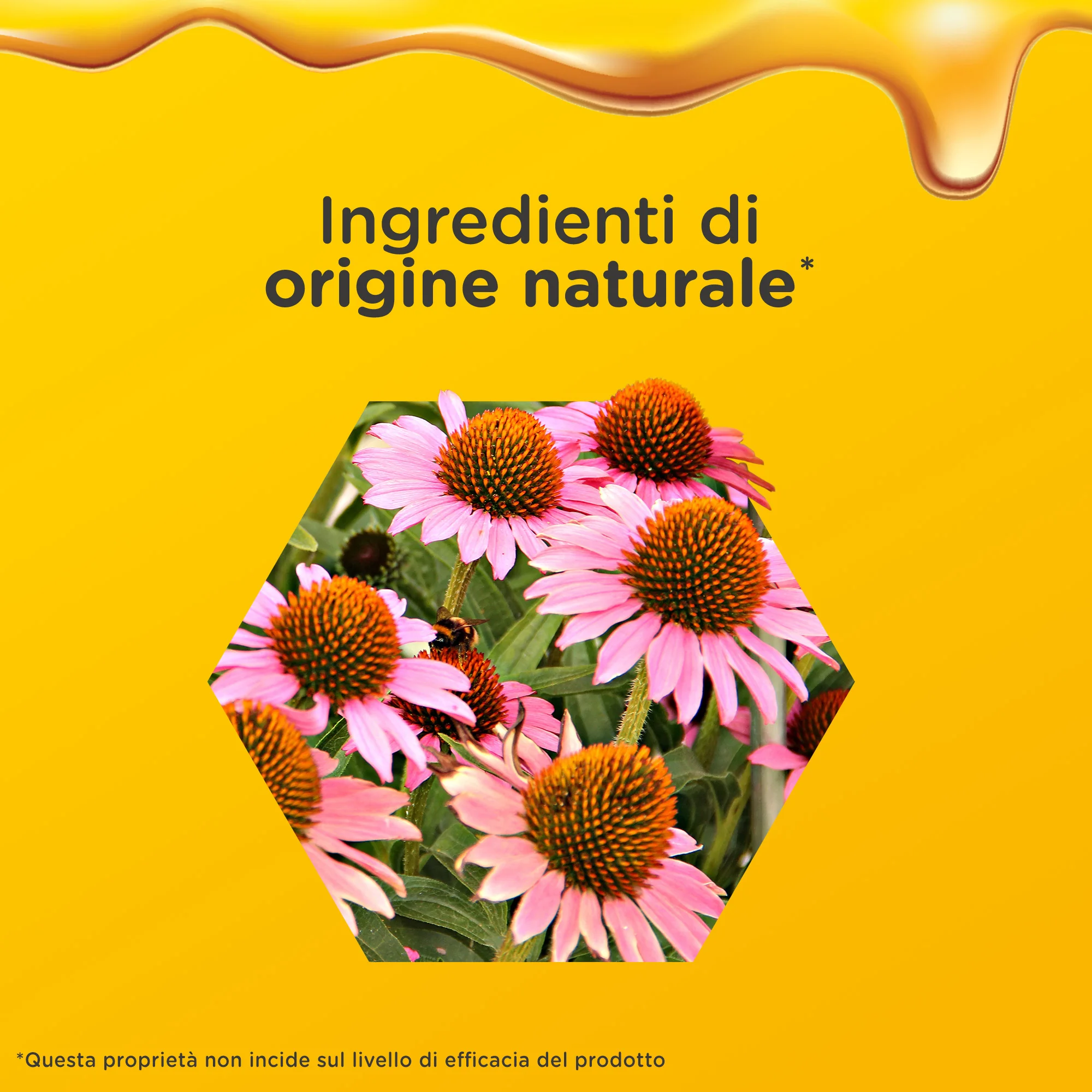 Zarbee'S Difese Immunitarie Adulti 120 Ml Senza Lattosio