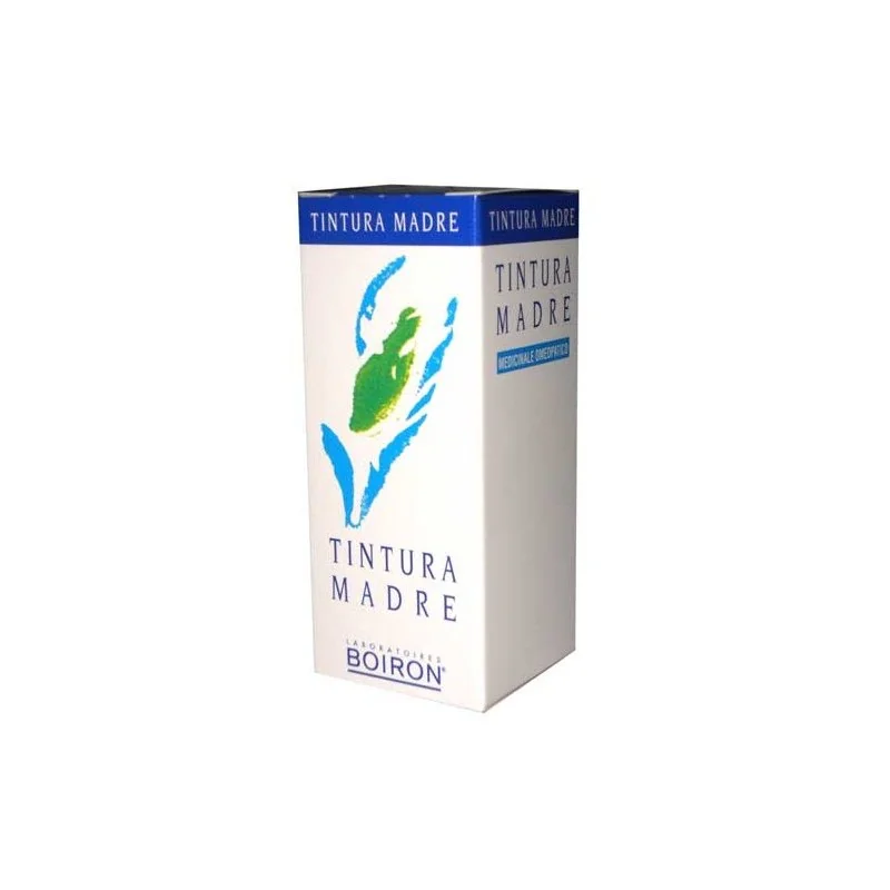 Equisetum Arvense Tintura Madre 30 ml