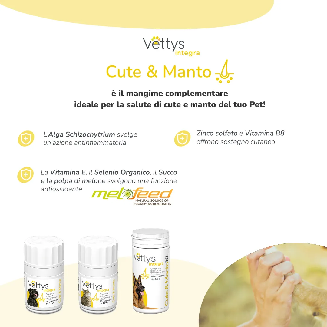 Vettys Integra Cute&Manto Gatto 30 Compresse Benessere del Pelo
