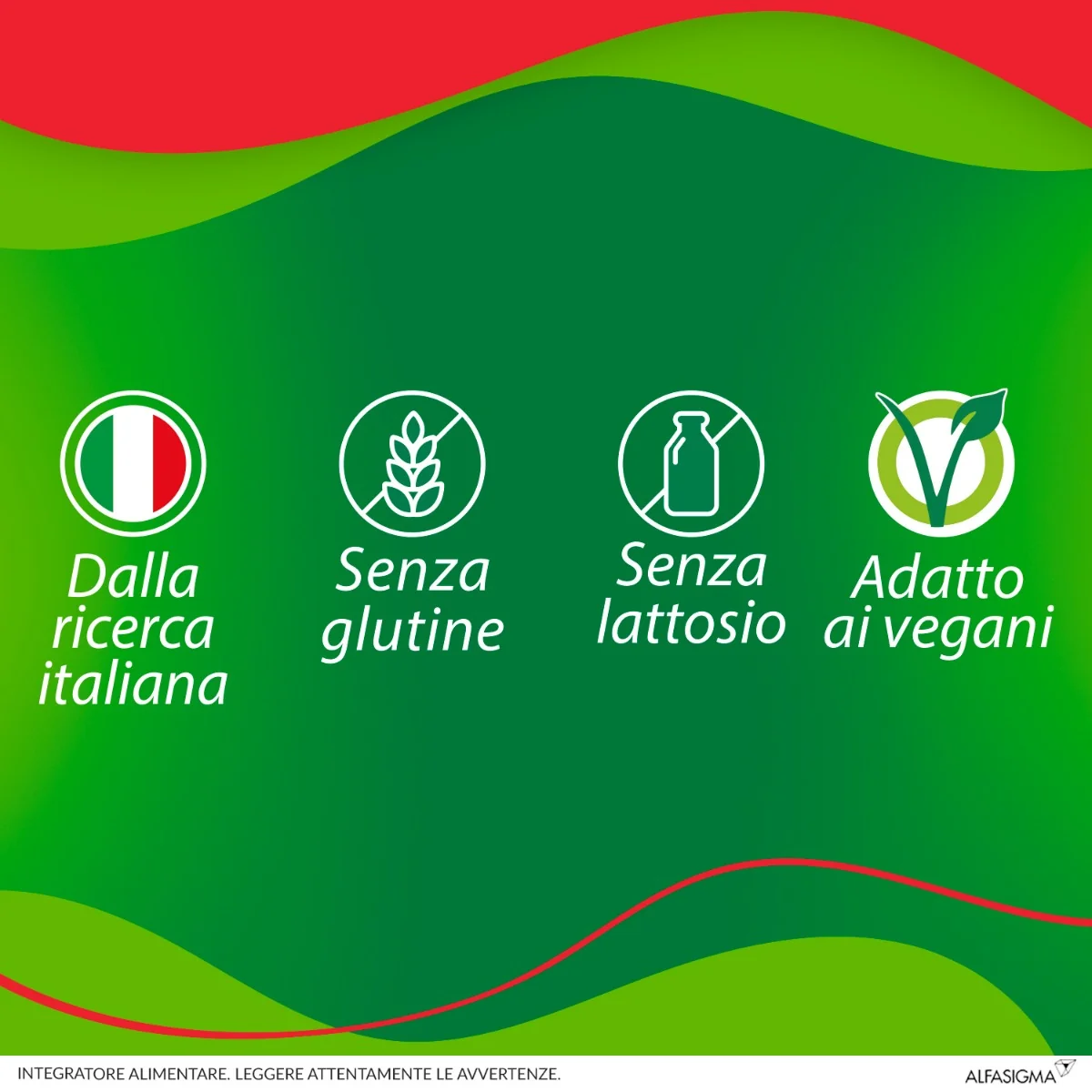 Enterolactis Plus 14 Bustine Integratore alimentare a base di fermenti lattici vivi