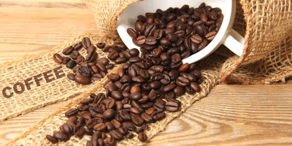 Caffè freddo: shakerato o in ghiaccio?
