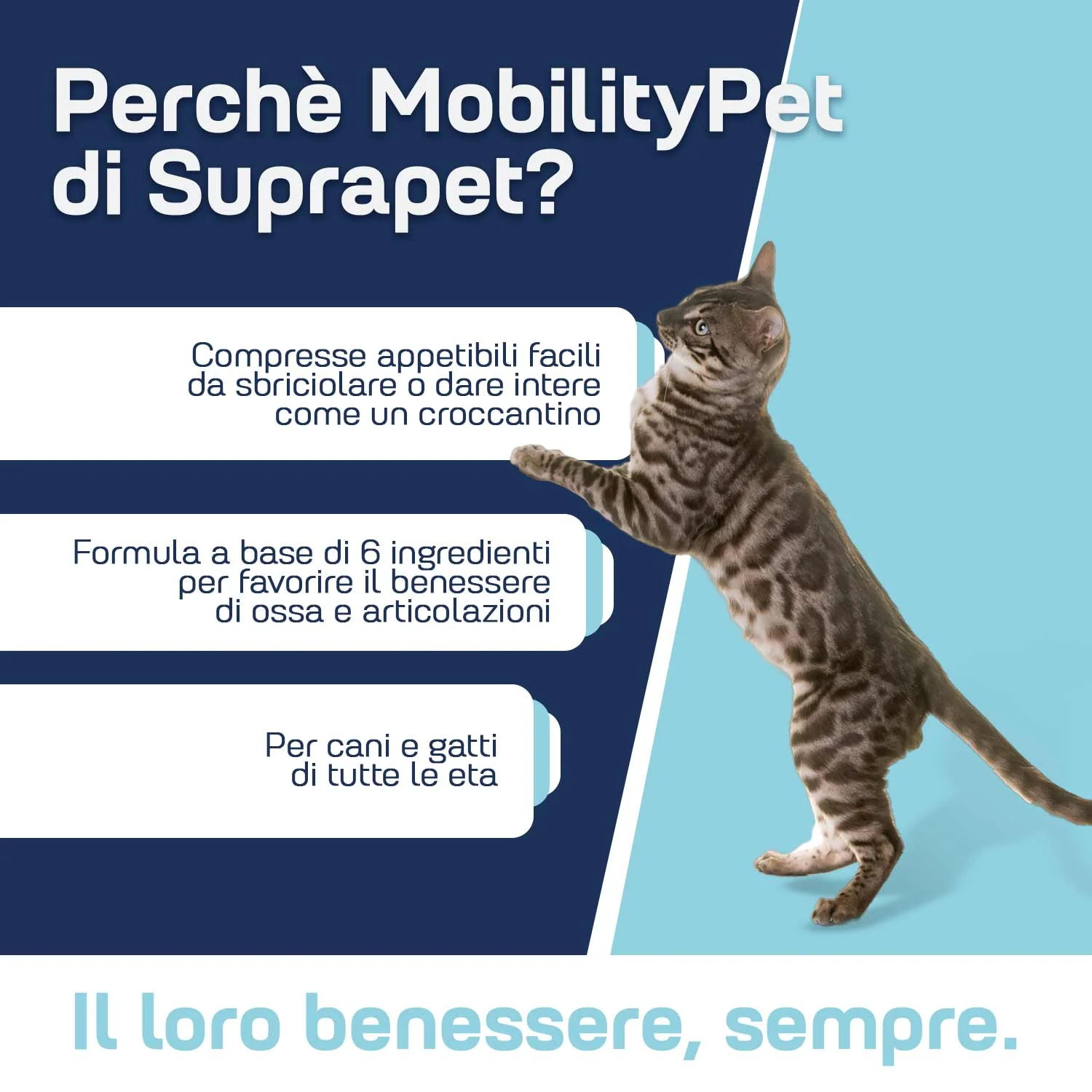 Suprapet Mobilitypet 90Cpr Benessere Articolare