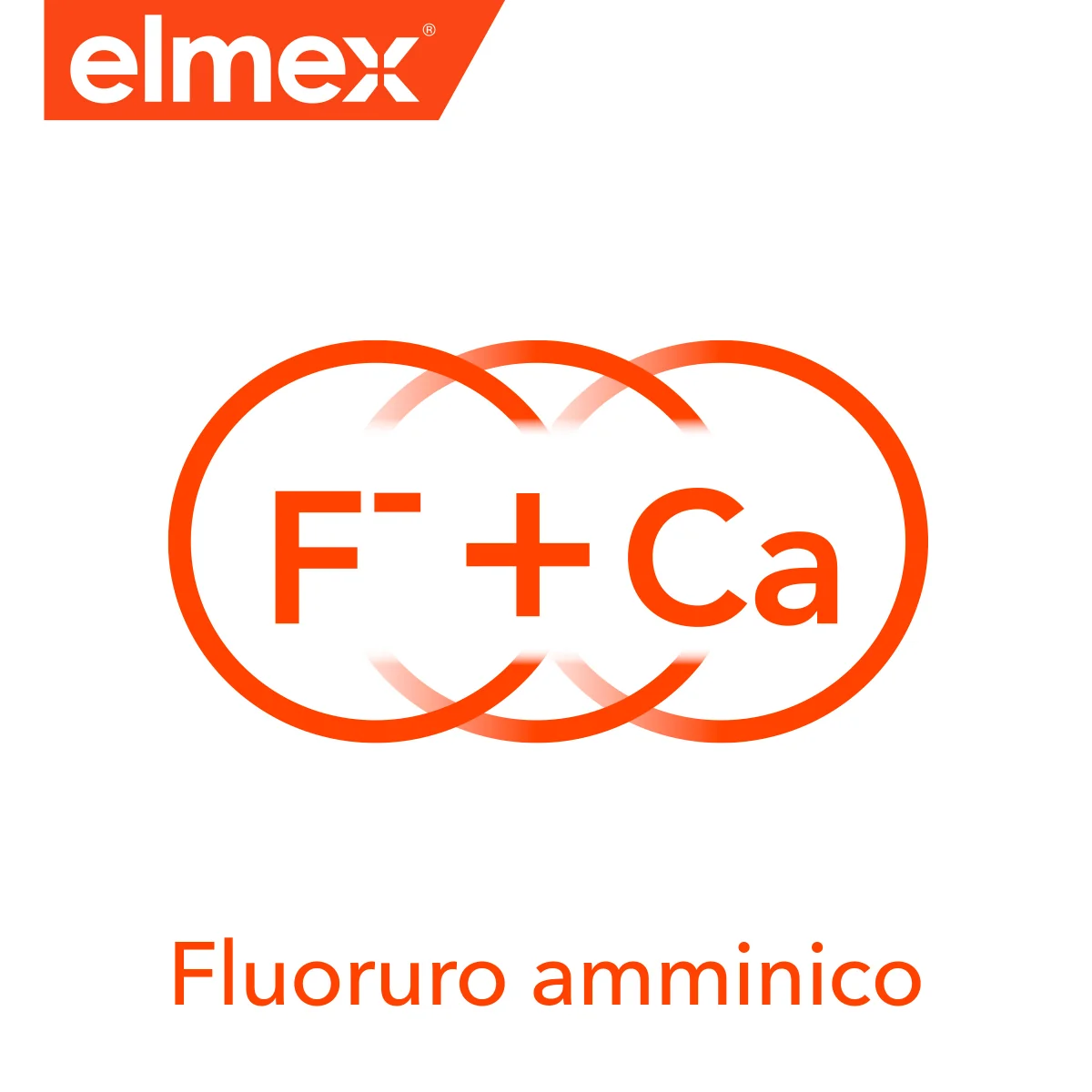 Elmex Educativo Bimbi Spazzolino Morbido Bambini 0-3 anni