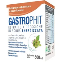 Gastrophit 500 ml