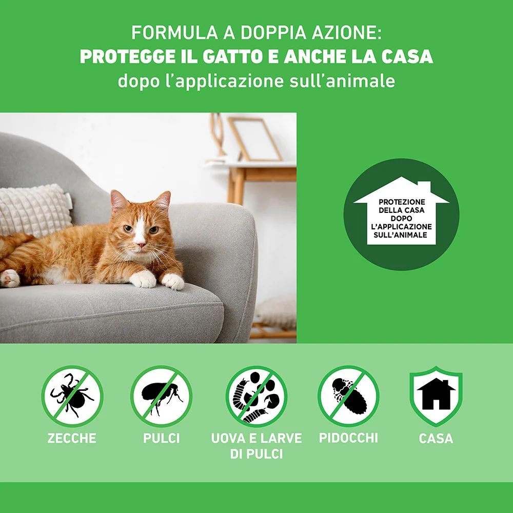 Frontline Combo Gatti X6 Antiparassitario Contro Pulci, Zecche E Pidocchi