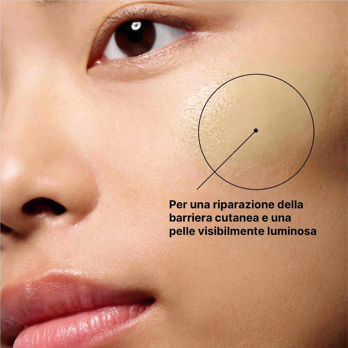 Phyto Corrective Con Pdrn Siero 30 Ml