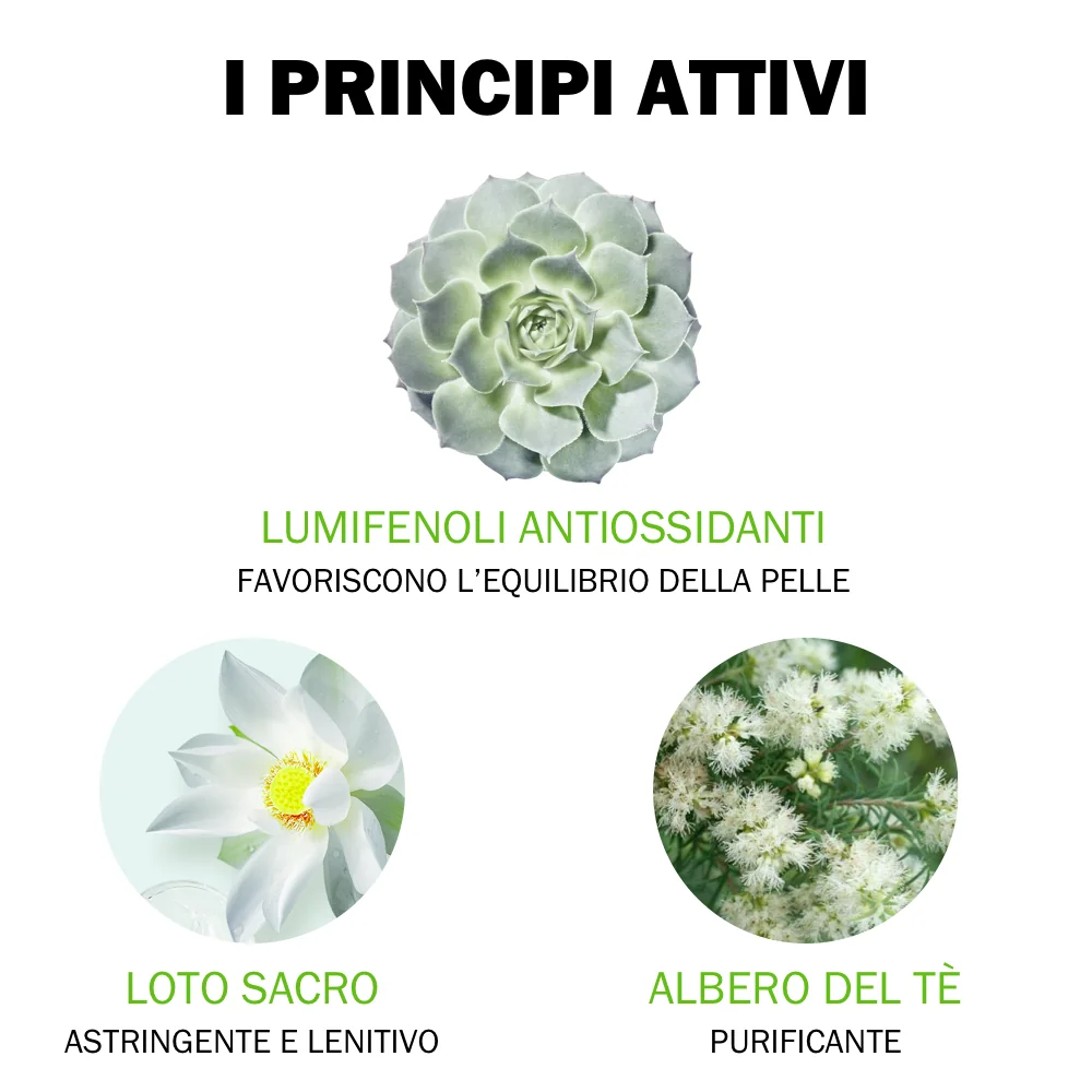 Jowaé Gel Purificante Viso 40 ml Contro Le Imperfezioni