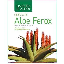 Aloe Ferox Bio 1L
