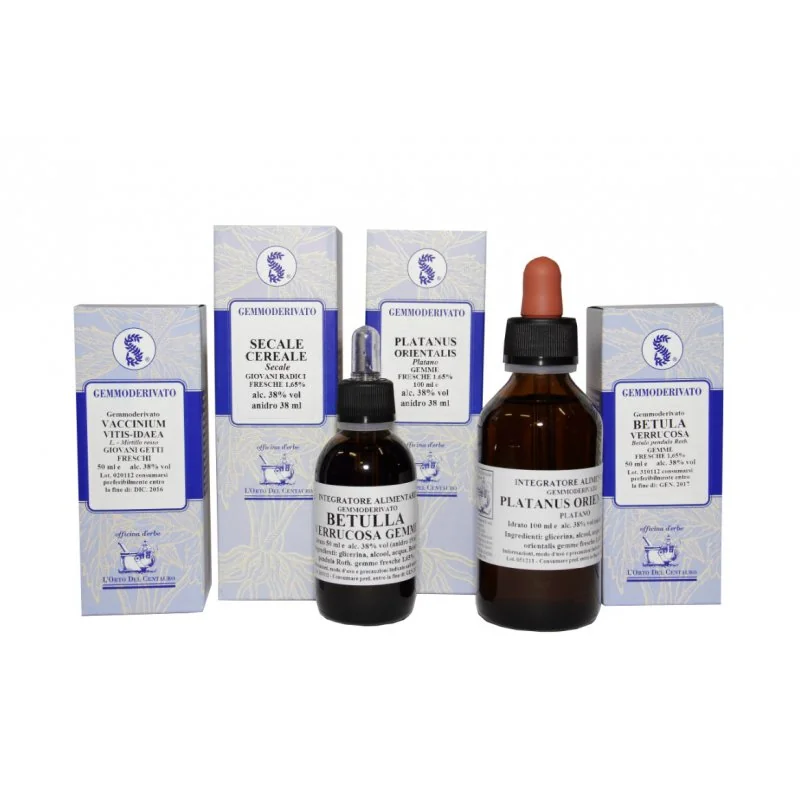 Sequoia Gigantea 100 ml Mg 
