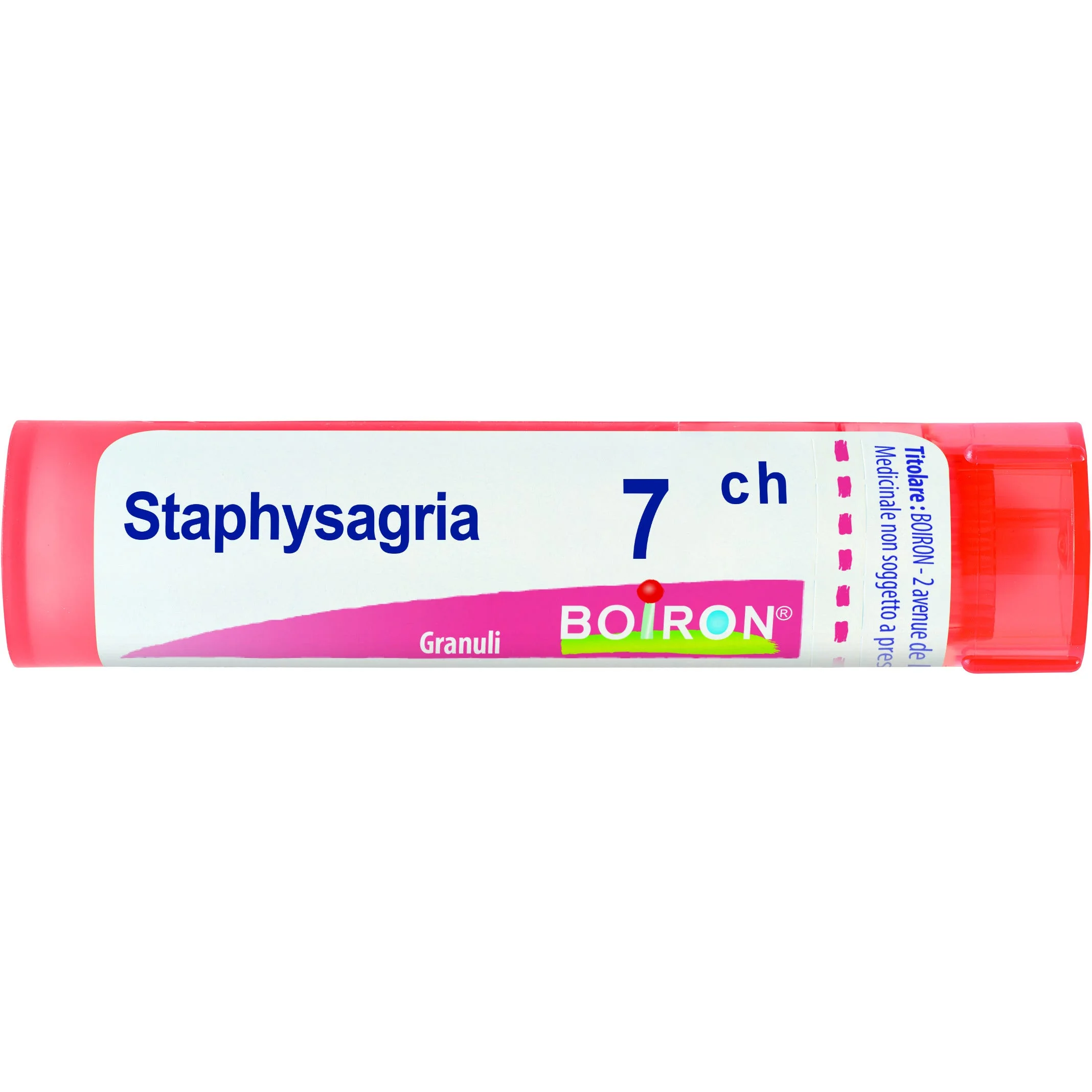 StaphysaGria 7 Ch 80 Gr 4 G