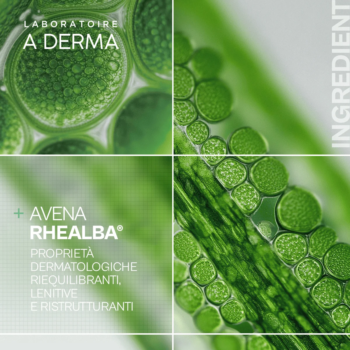 Les Indispensables Gel Doccia Surgras