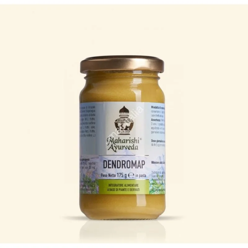 Dendromap Pasta 175 g