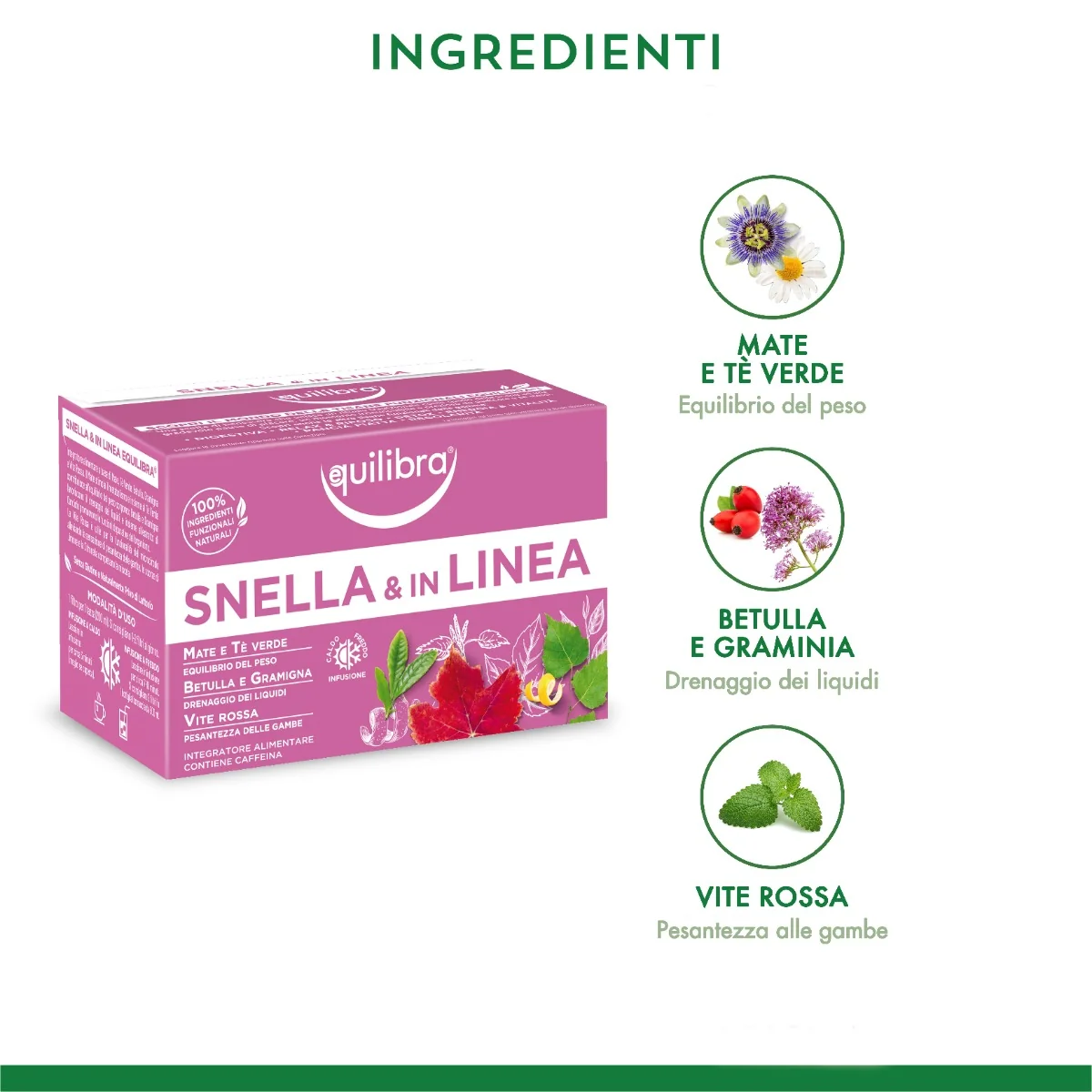 Equilibra Tisana Snella e in Linea 15 Filtri Tè Verde Betulla Vite Rossa