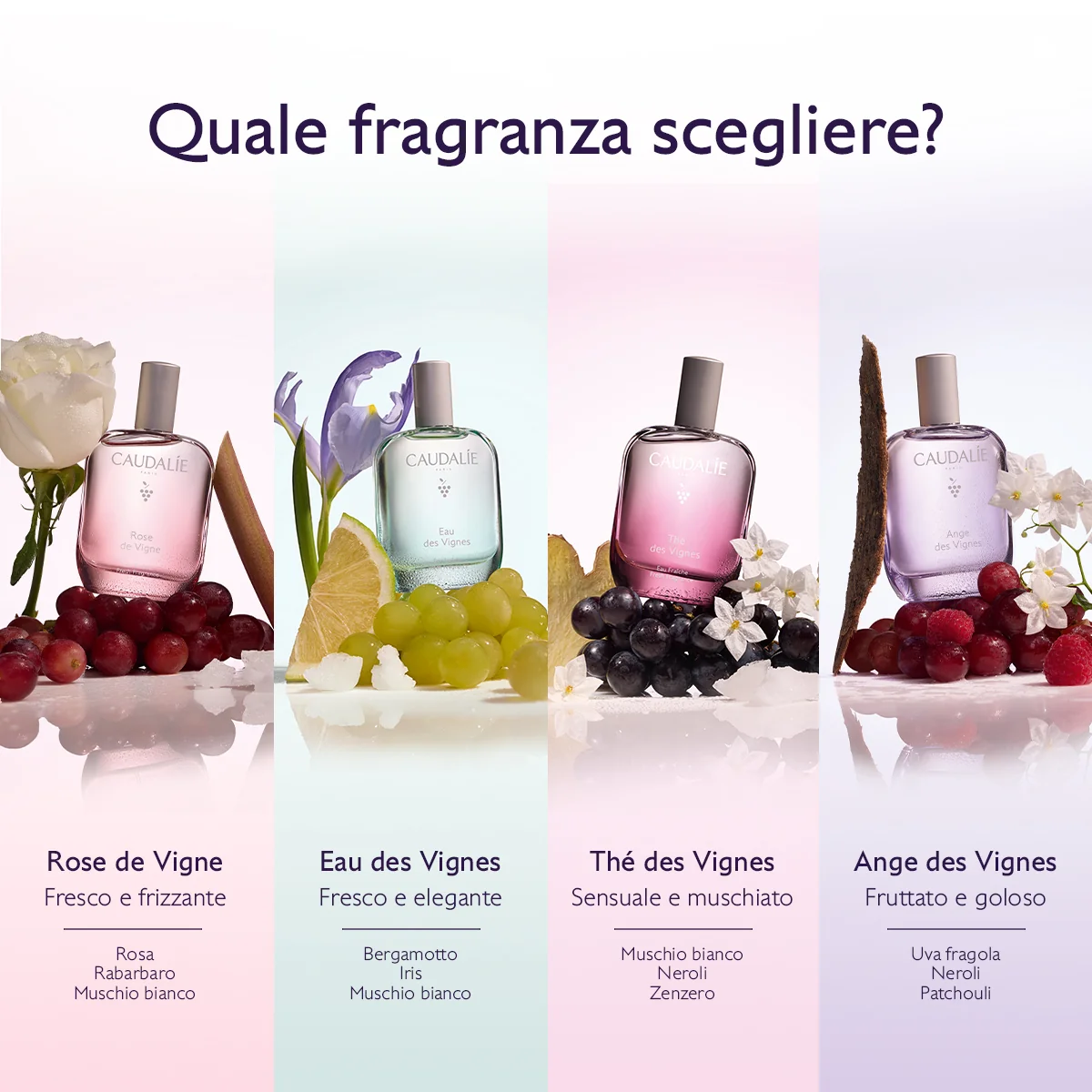 Ange Des Vignes Eau De Parfum 50 Ml