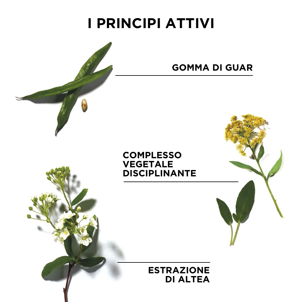 Phytodefrisant Gel Brushing Disciplinante Capelli