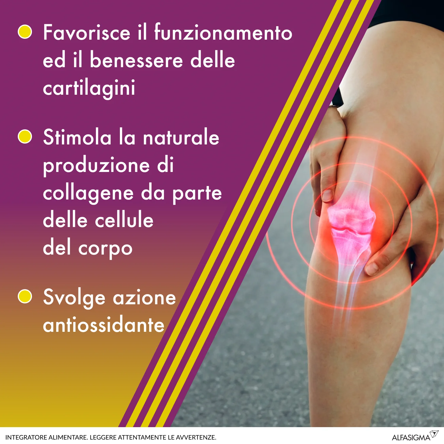 Amedial Plus 20 Buste Integratore Ossa Cartilagini Collagene