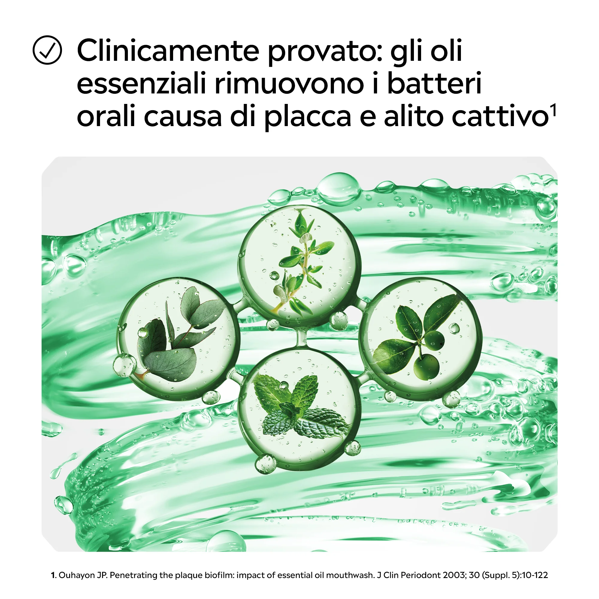 Listerine Difesa Denti e Gengive Collutorio 500 ml Menta delicata