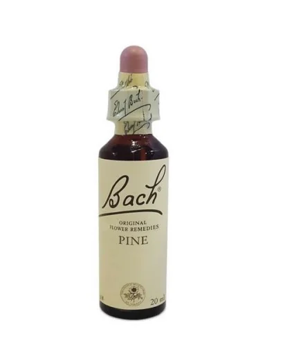 Bach Center Ess Pine 20 ml