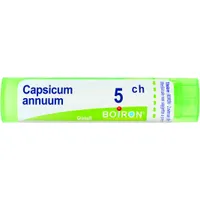 Capsicum Annuum 5 Ch 80 Gr 4 G
