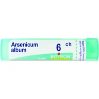 Arsenicum Album 6 Ch 80 Gr 4 G