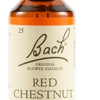 Schwabe Fiori di Bach Red 25 Chestnut Gocce 20 ml