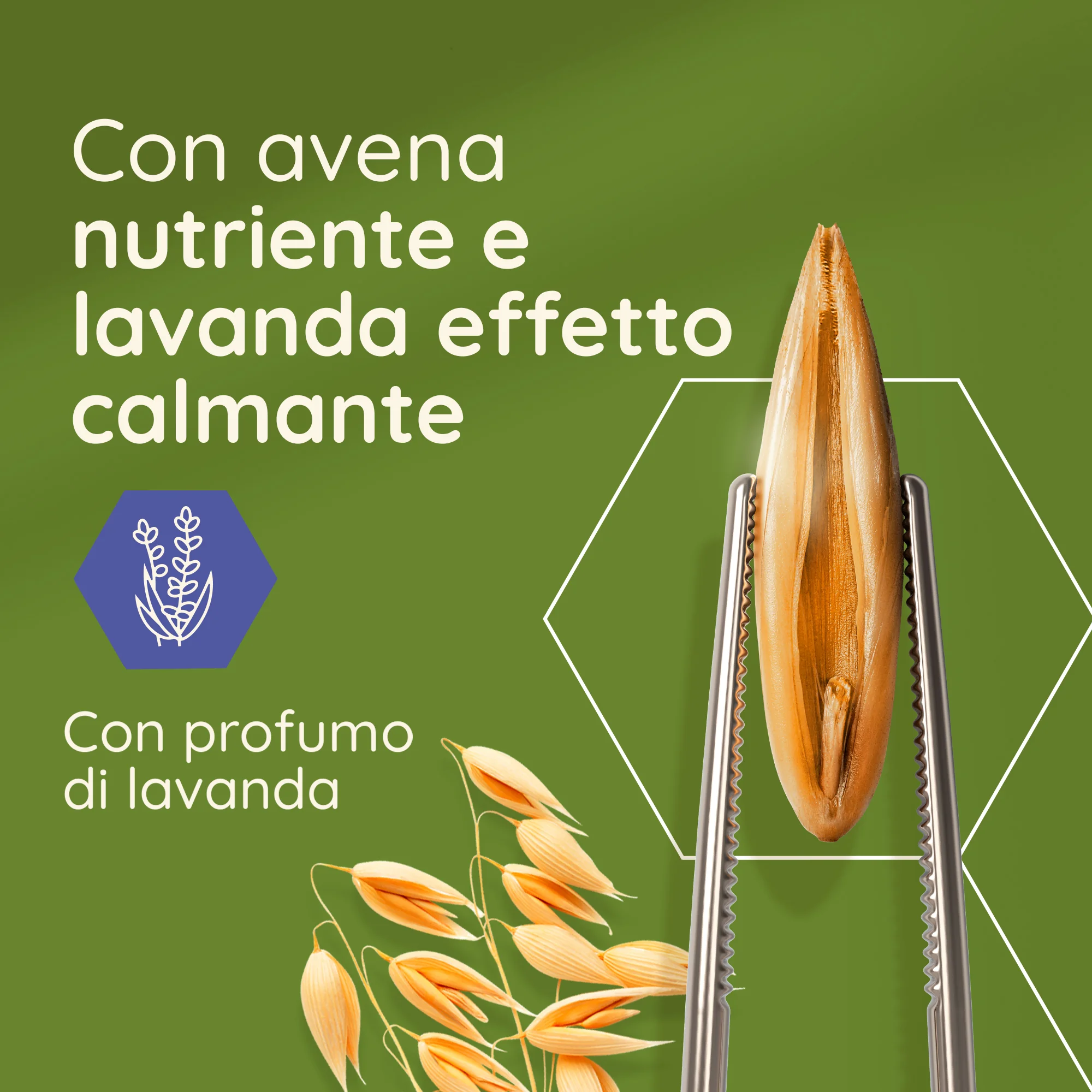 Aveeno Daily Mosturising Crema Idratante Corpo Lavanda  300 ml Crema Profumata all'aroma di Lavanda