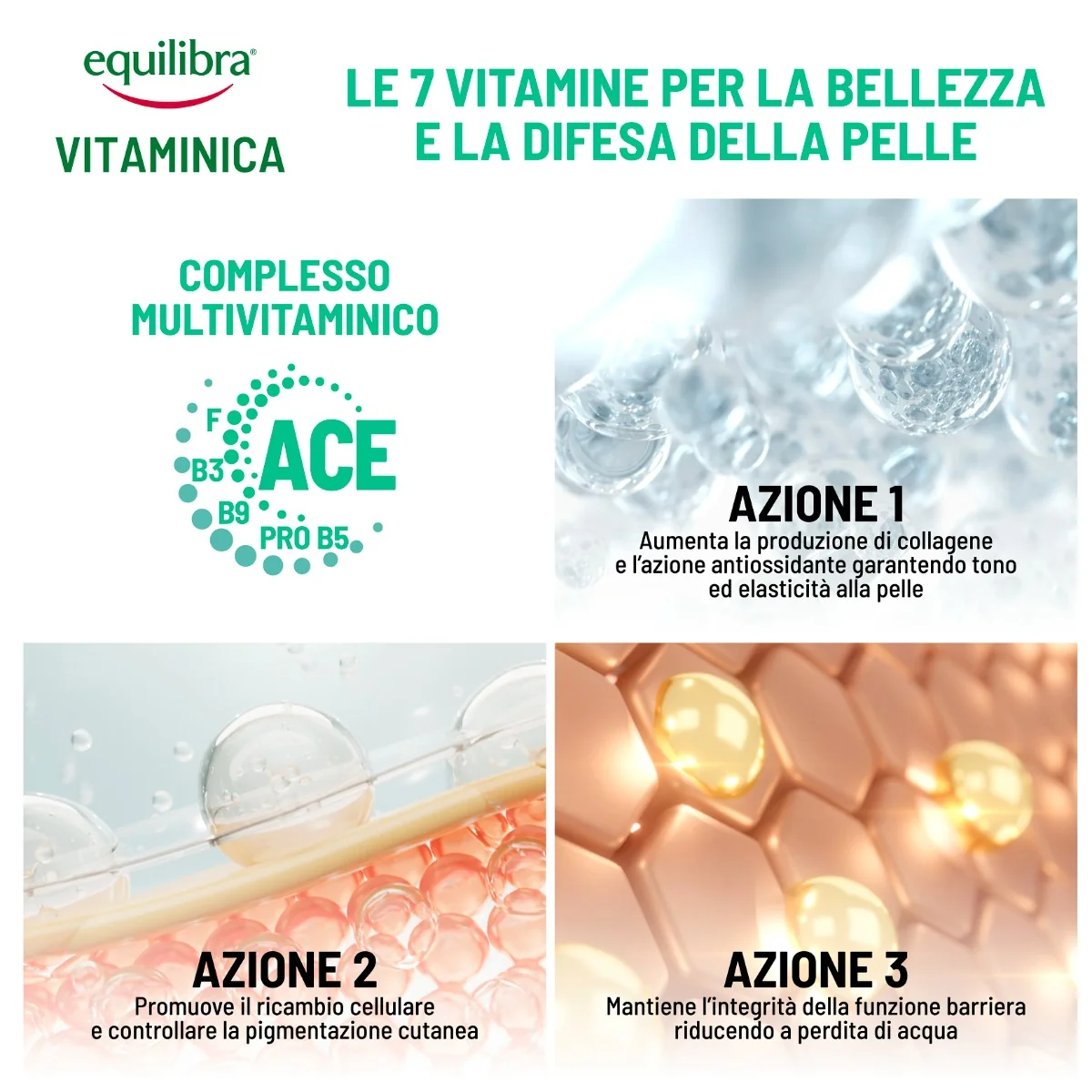 Equilibra Viso Ampolle Vitaminiche Ricostituenti 7x2,5 Ml Benessere della Pelle del Viso