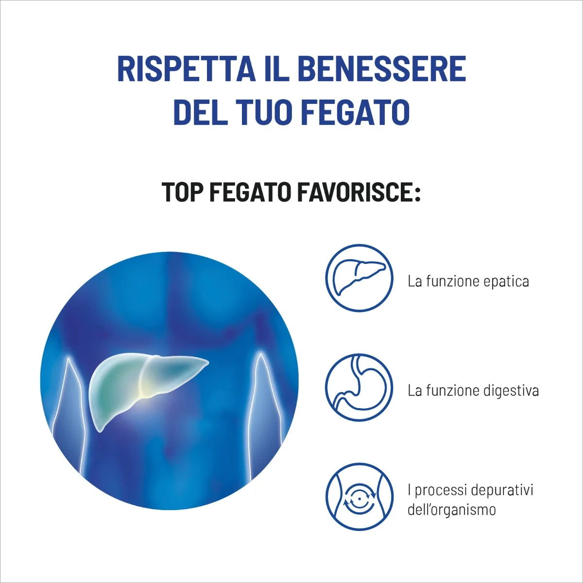Equilibra Top Fegato Con Aloe 30 Compresse Integratore per Benessere del Fegato
