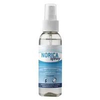Norica Spray Igienizzante Mani 100 ml
