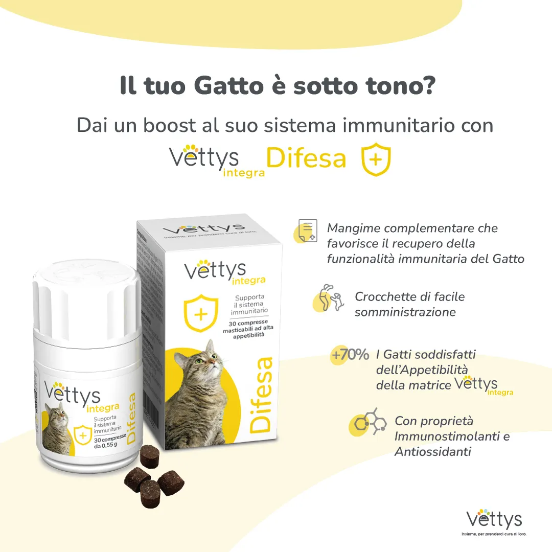 Vettys Integra Difesa Gatto 30 Compresse Sistema Immunitario del Gatto