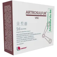 Artrosulfur Visc 16 Bustine 6 g